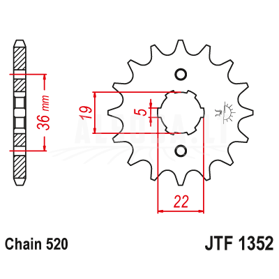 Priekinė žvaigždė JTF1352-13