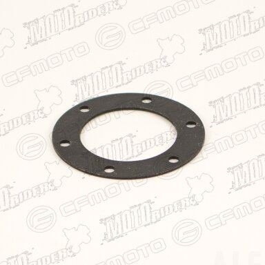 Q800-313005-00200 GEAR WASHER