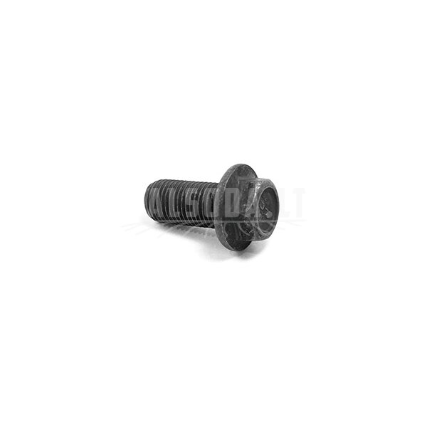 Q860-331002 BOLT