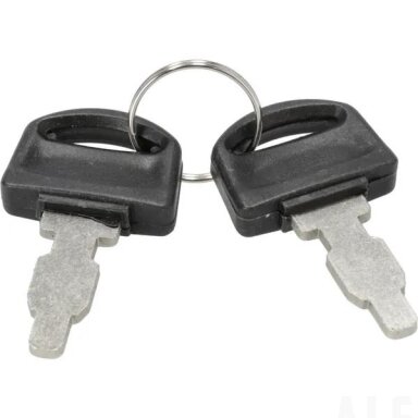 Raktų rinkinys Briggs&Stratton 590996