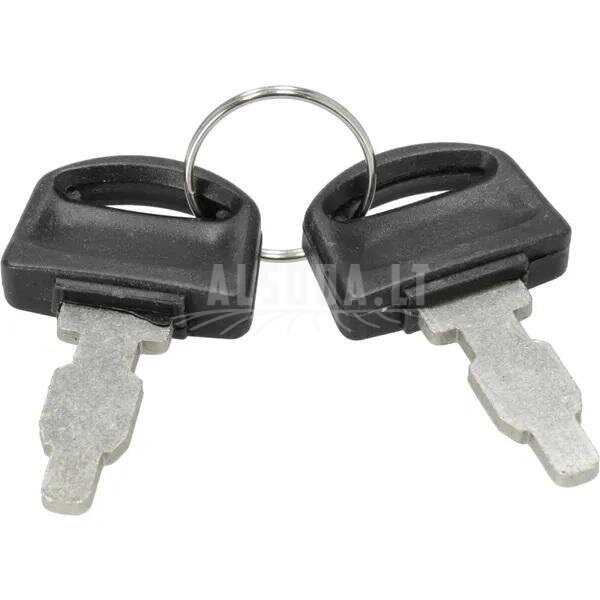 Raktų rinkinys Briggs&Stratton 590996