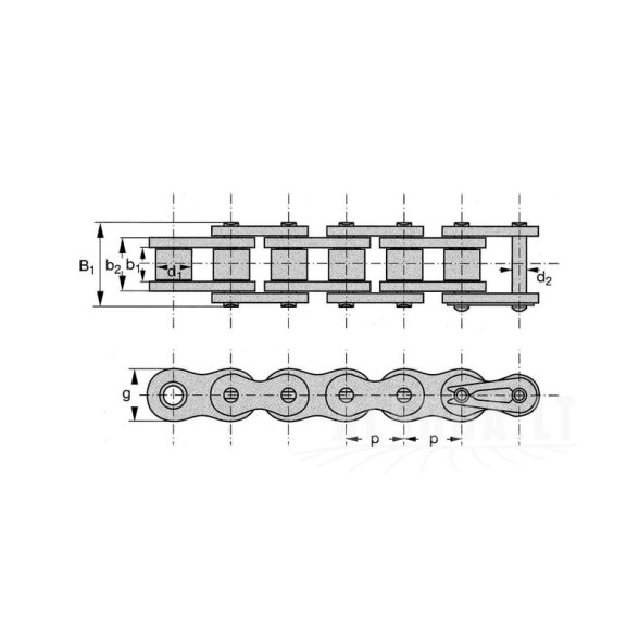Ritininė grandinė 10B-1 Rexplus - RVS 1 Ritininė grandinė 10B-1 Rexplus - RVS 1