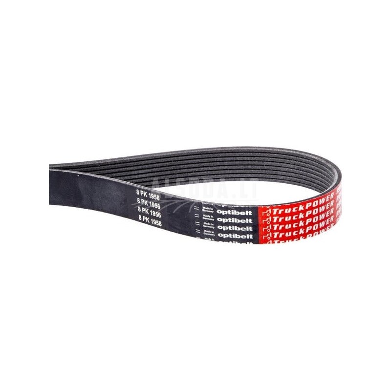 Rumbuotas diržas 12 briaunų PK x1439mm Optibelt