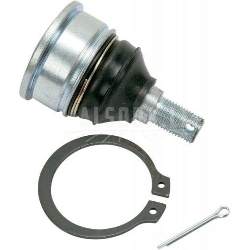 Šarnyras apatinis Honda TRX 250 42-1014