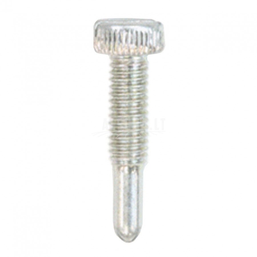 Screw, idle adjust B450; B530; C270; C350, Echo