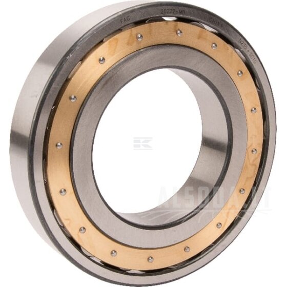 Sferinis ritininis guolis 110x200x38mm INA/FAG