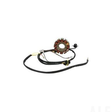 Starterio apvijos Polaris 600/700 2112-0681