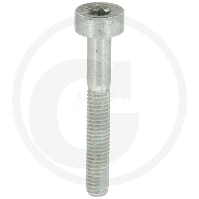'Tinkamas Stihl'' varžtas
Rankų apsaugai M5 x 35 90223411080 044, 046, 088, MS341, MS361, MS362, MS440, MS441, MS460, MS461, MS880 'Tinkamas Stihl'' varžtas
Rankų apsaugai M5 x 35 90223411080 044, 046, 088, MS341, MS361, MS362, MS440, MS441, MS460, MS461, MS880