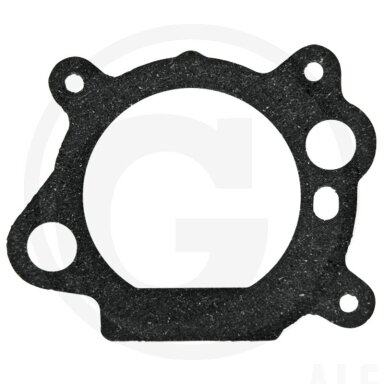 Tarpine Briggs&Stratton 795629