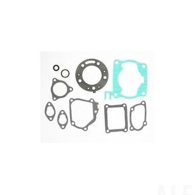 Tarpinių kompl. Honda 500 Gasket kit top end 810843