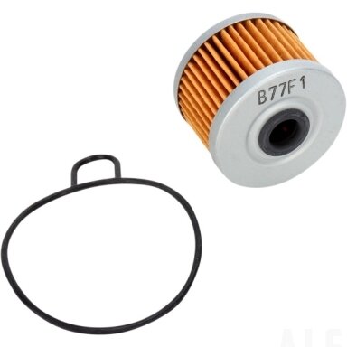 Tepalo filtras 10-26968 Polaris 3088036