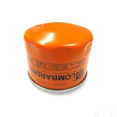 Tepalo filtras ARCTIC CAT 3206-194  P3336
