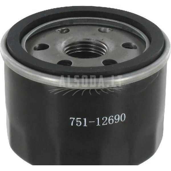 Tepalo filtras MTD 75112690 54,00 x 67,00 mm 751-11501, 751-12690, 75111501, 75112690 4P90HU, 4P90JHA, 4P90JU, 4P90JUA, 4P90JUB, 4P90MU, 4P90MUA, 4P90MUB Tepalo filtras MTD 75112690 54,00 x 67,00 mm 751-11501, 751-12690, 75111501, 75112690 4P90HU, 4P90JHA, 4P90JU, 4P90JUA, 4P90JUB, 4P90MU, 4P90MUA, 4P90MUB