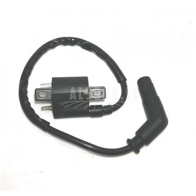 Uždegimo ritė IC-073 Grizzly Uždegimo ritė IC-073 Grizzly