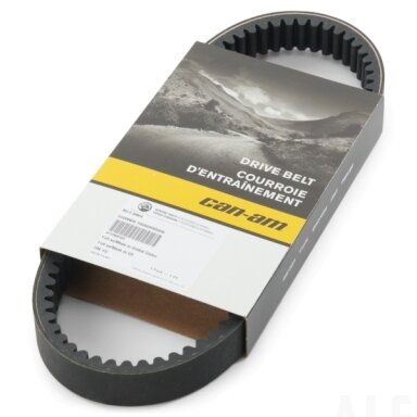 Variatoriaus diržas Performance Drive Belt 422280283