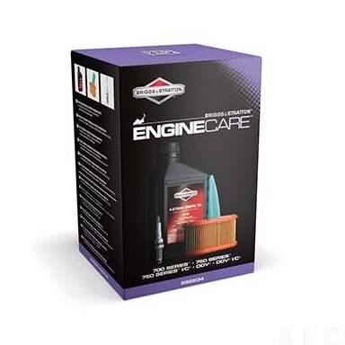 Variklio priežiūros rinkinys Briggs&Stratton 992234