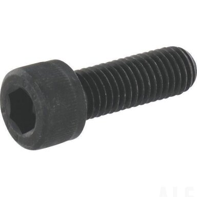 Varžtas M10x30.10