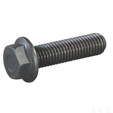 Varžtas M12x45 Verbusripp