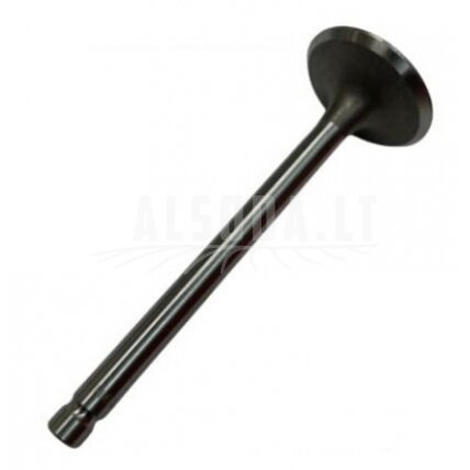 VALVE, INTAKE, MTD