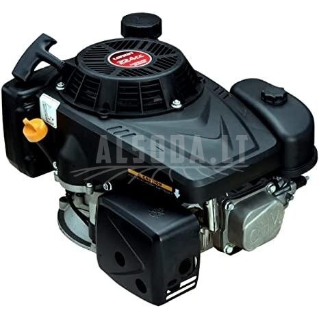 Variklis vertikaliu velenu Loncin LC1P75F
