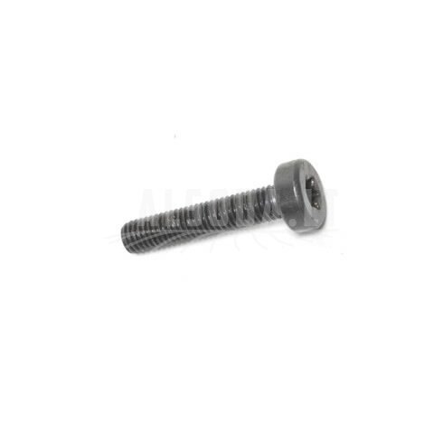 Varžtas TORX 5, Echo Varžtas TORX 5, Echo
