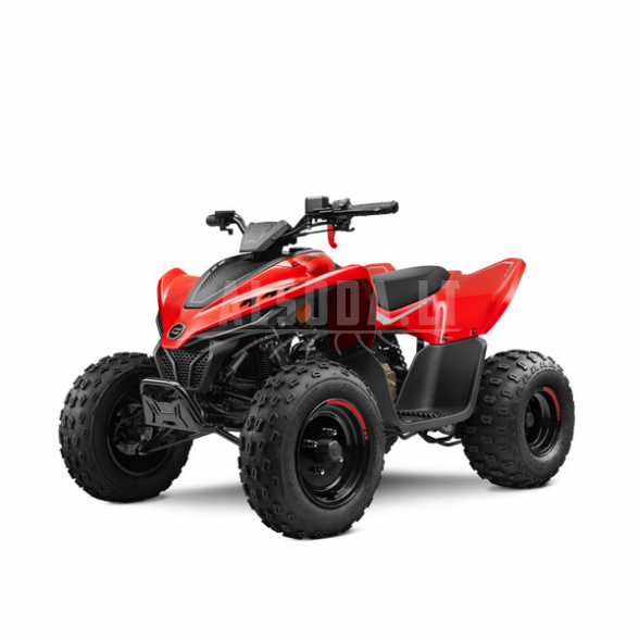 Vaikiškas keturratis CFMOTO CFORCE 110 BASIC 2