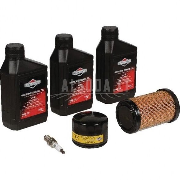 Variklio priežiūros rinkinys Briggs&Stratton 992243 1