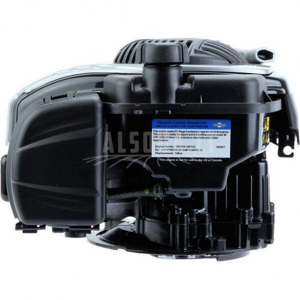 Variklis 4 HP Briggs&Stratton 09P7020061H1 3