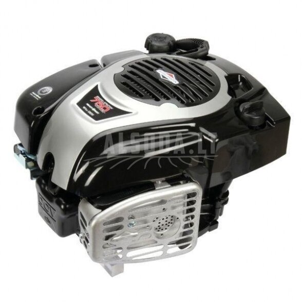 Variklis 5 HP Briggs&Stratton 1006020177H5