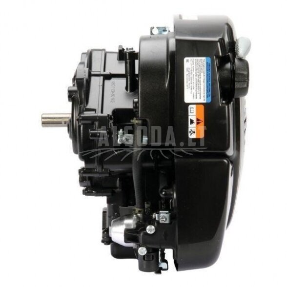 Variklis 5 HP Briggs&Stratton 1006020178H5 2