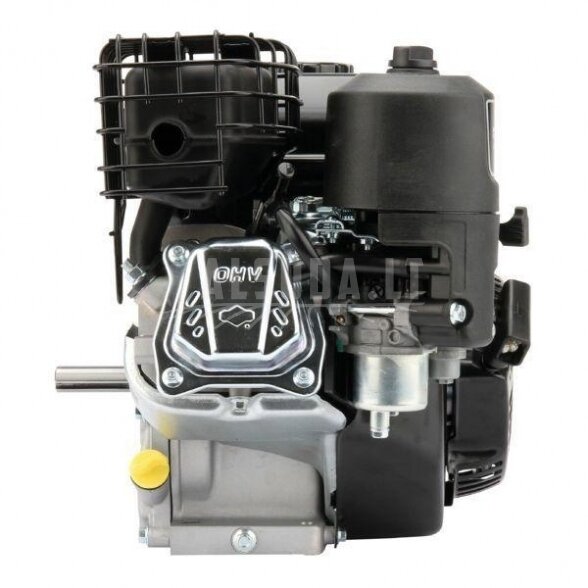 Variklis 6.5 HP Briggs&Stratton 1062320129H5 3