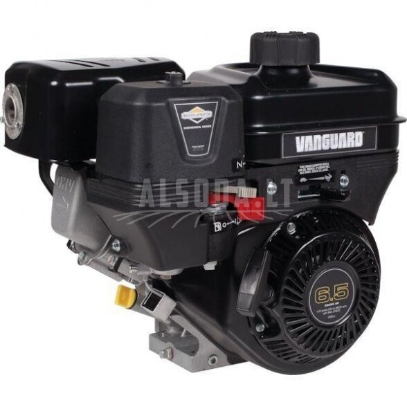 Variklis 6.5 HP Briggs&Stratton 12V3520005F1 1