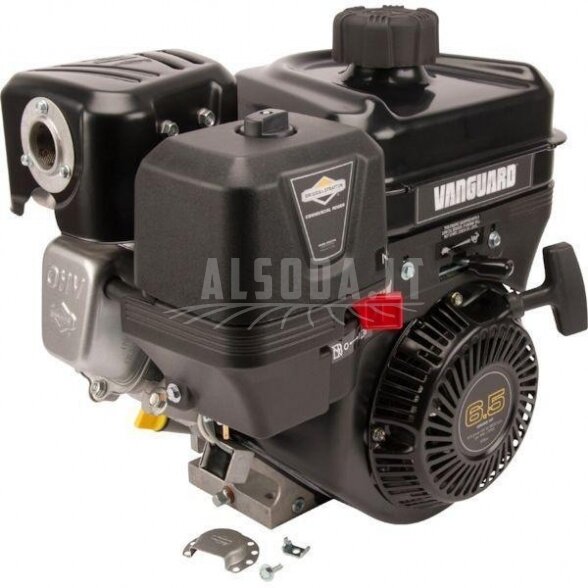 Variklis 6.5 HP Briggs&Stratton 13L3320312F8 Variklis 6.5 HP Briggs&Stratton 13L3320312F8
