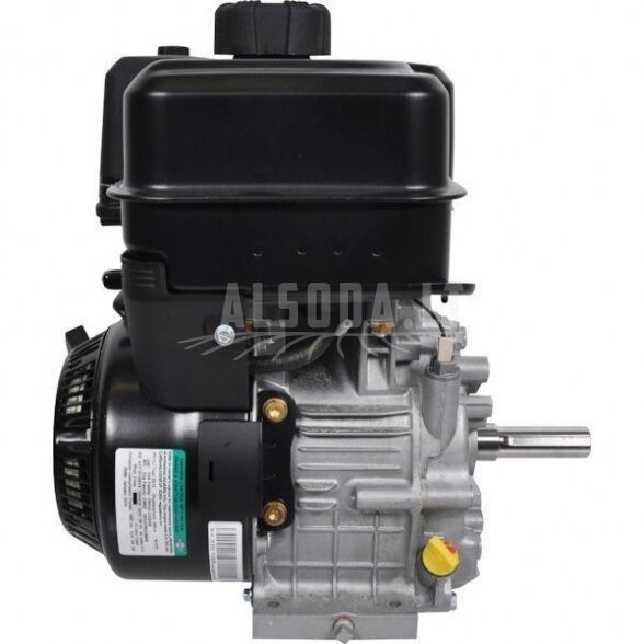 Variklis 9 HP Briggs&Stratton 19L2320314F1 2