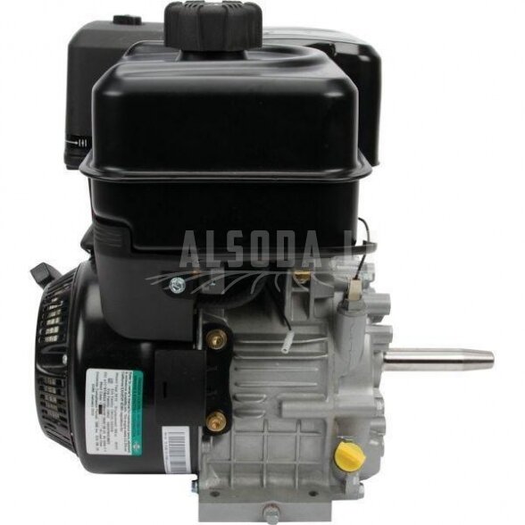 Variklis 9 HP Briggs&Stratton 19L2320315F1 2
