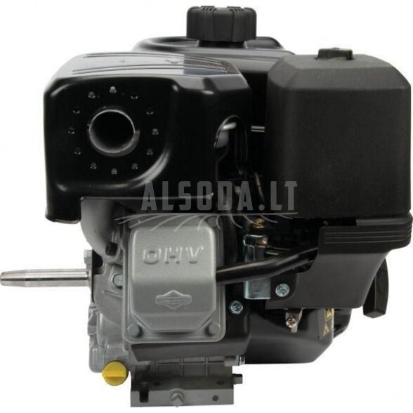 Variklis 9 HP Briggs&Stratton 19L2320315F1 3 Variklis 9 HP Briggs&Stratton 19L2320315F1 3