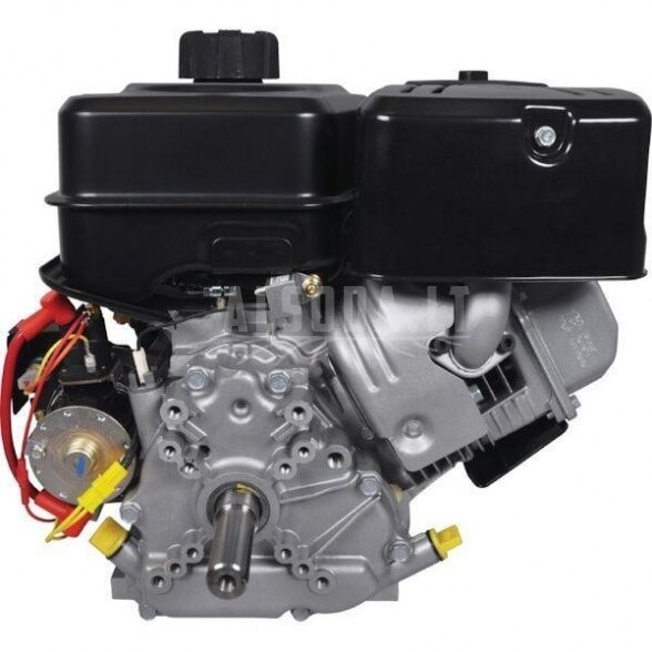 Variklis 9 HP Briggs&Stratton 19L2370319F1 1