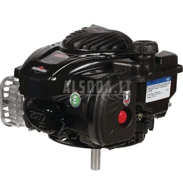Variklis 4 HP Briggs&Stratton 09P6020036H5