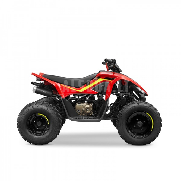 Vaikiškas keturratis CFMOTO CFORCE 110 BASIC 3