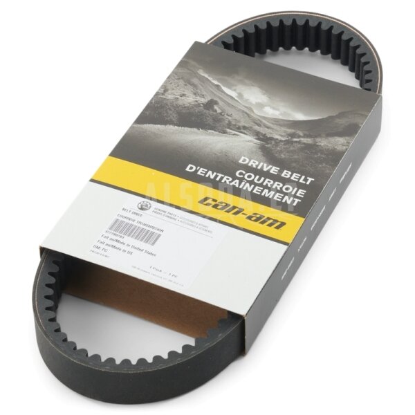 Variatoriaus diržas Performance Drive Belt 422280283