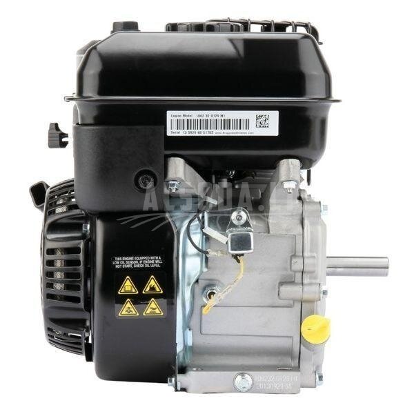 Variklis 6.5 HP Briggs&Stratton 1062320129H5 2
