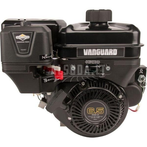 Variklis 6.5 HP Briggs&Stratton 12V3370010F1 1