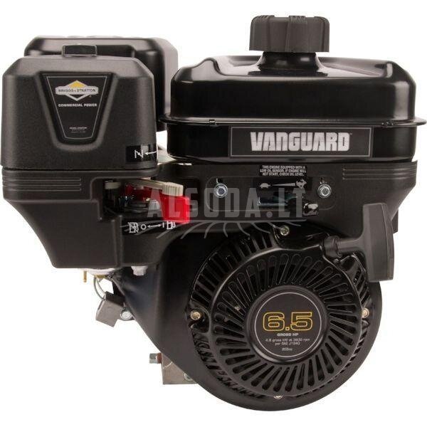 Variklis 6.5 HP Briggs&Stratton 13L3320312F8 1