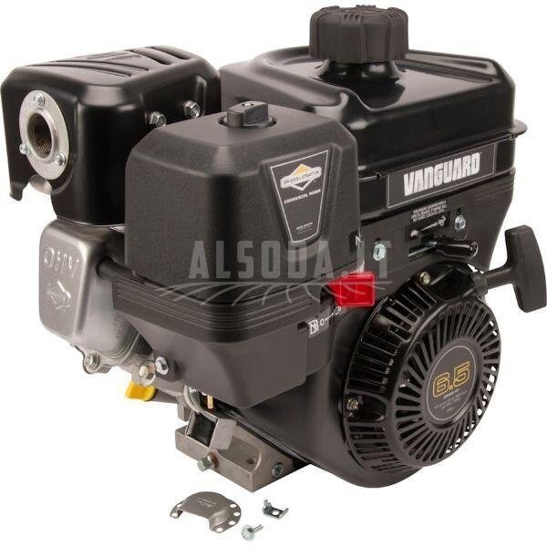 Variklis 6.5 HP Briggs&Stratton 13L3320312F8 Variklis 6.5 HP Briggs&Stratton 13L3320312F8