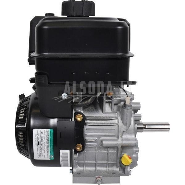 Variklis 9 HP Briggs&Stratton 19L2320314F1 2