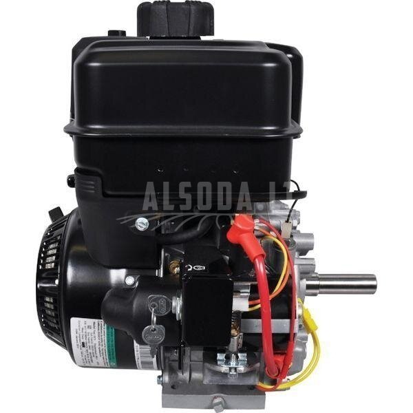 Variklis 9 HP Briggs&Stratton 19L2370319F1 2