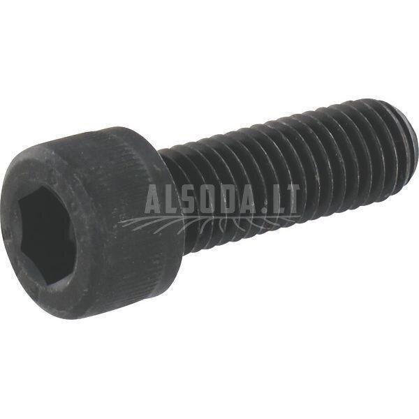 Varžtas M10x30.10 Varžtas M10x30.10