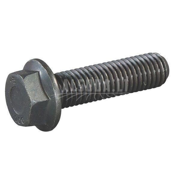 Varžtas M12x45 Verbusripp