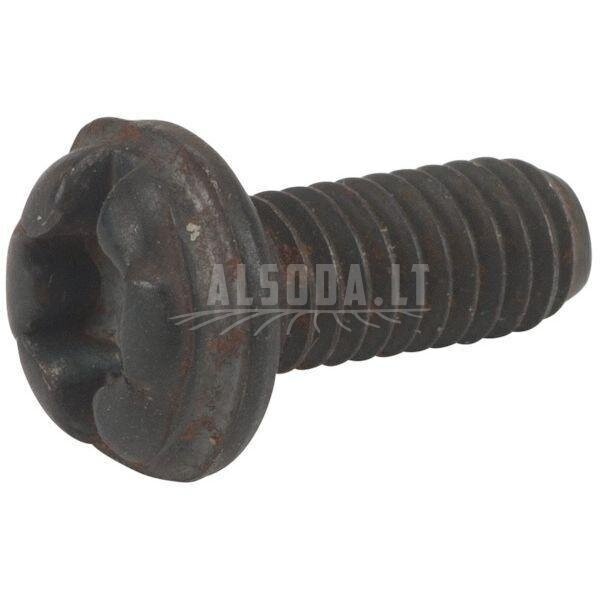 Varžtas TX M4x10 Varžtas TX M4x10