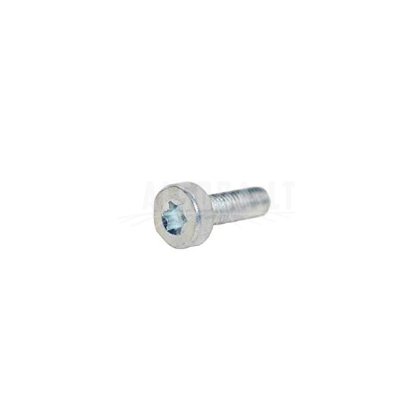 VARŽTAS VALO PEILIUKO TORX 5 CS-420 CS-420, ECHO VARŽTAS VALO PEILIUKO TORX 5 CS-420 CS-420, ECHO